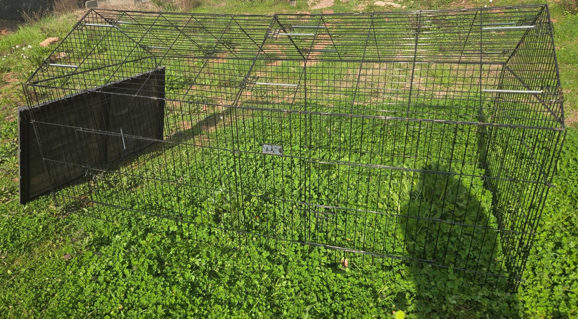 Enclos extérieur sécurisé installé dans l'herbe pour les sorties