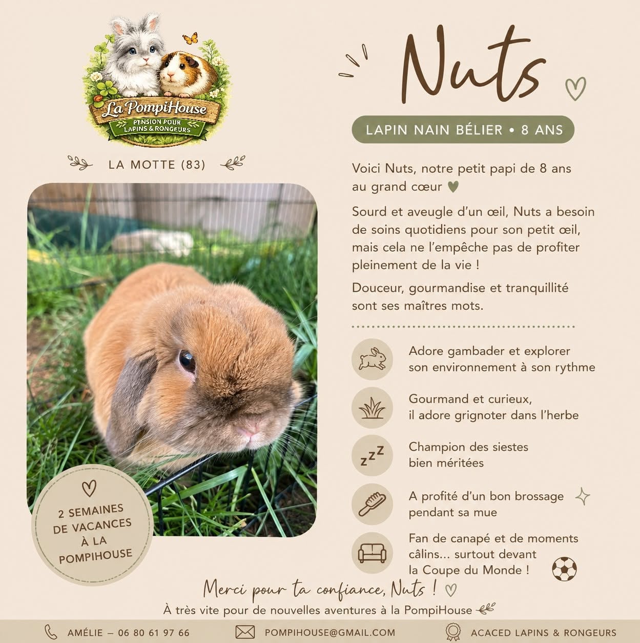 Affiche de présentation de la PompiHouse et de ses attentions pour les animaux accueillis