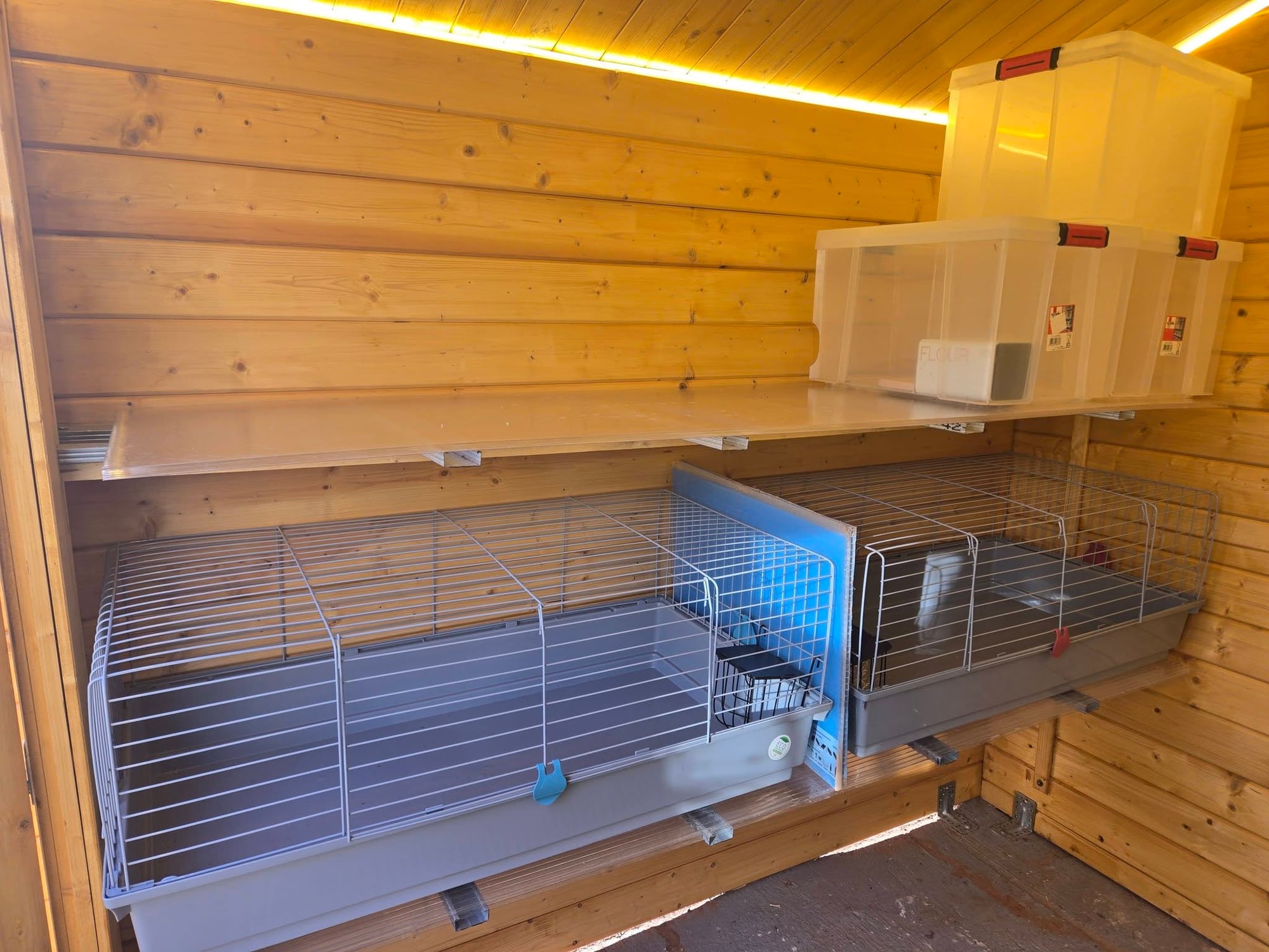 Espace intérieur en bois avec cabanes et cages aménagées pour les pensionnaires